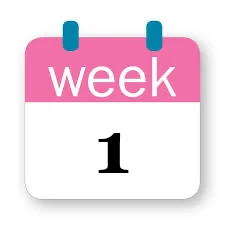 1 week zwanger