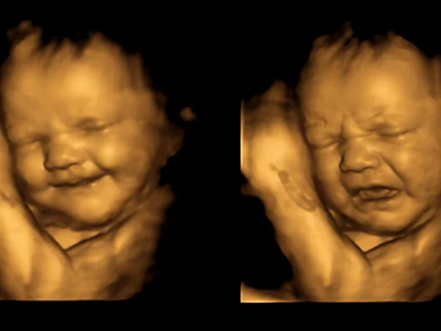 Babies kunnen huilen en lachen ik de baarmoeder