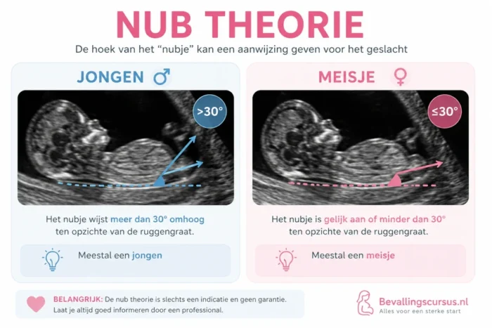 nubtheorie geslacht baby jongen of meisje