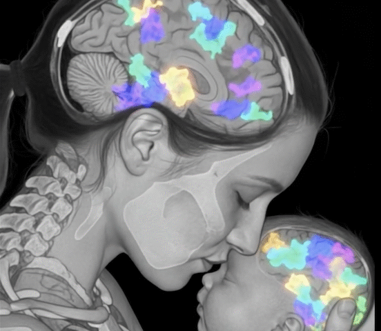 Het brein van een moeder voelt niet alleen — het reageert